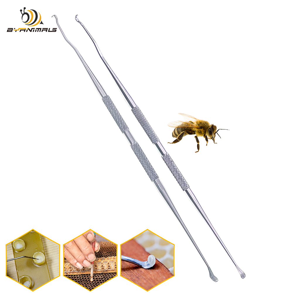 Perfume Queen - قلم تطعيم ونقل خلايا اليرقة من