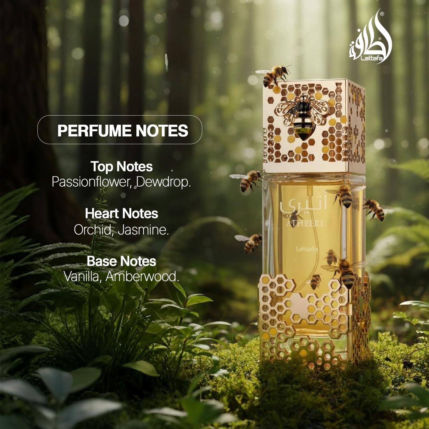 عطر أثيري EDP 100 مل، رائحة عس - مراجعة Perfume Adrien Fragrance وسعره