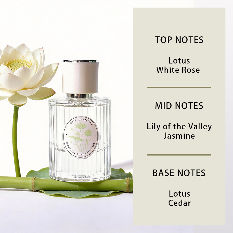 عطر اللوتس المنعش طويل الأمد ب - مراجعة Perfume Queen وسعره