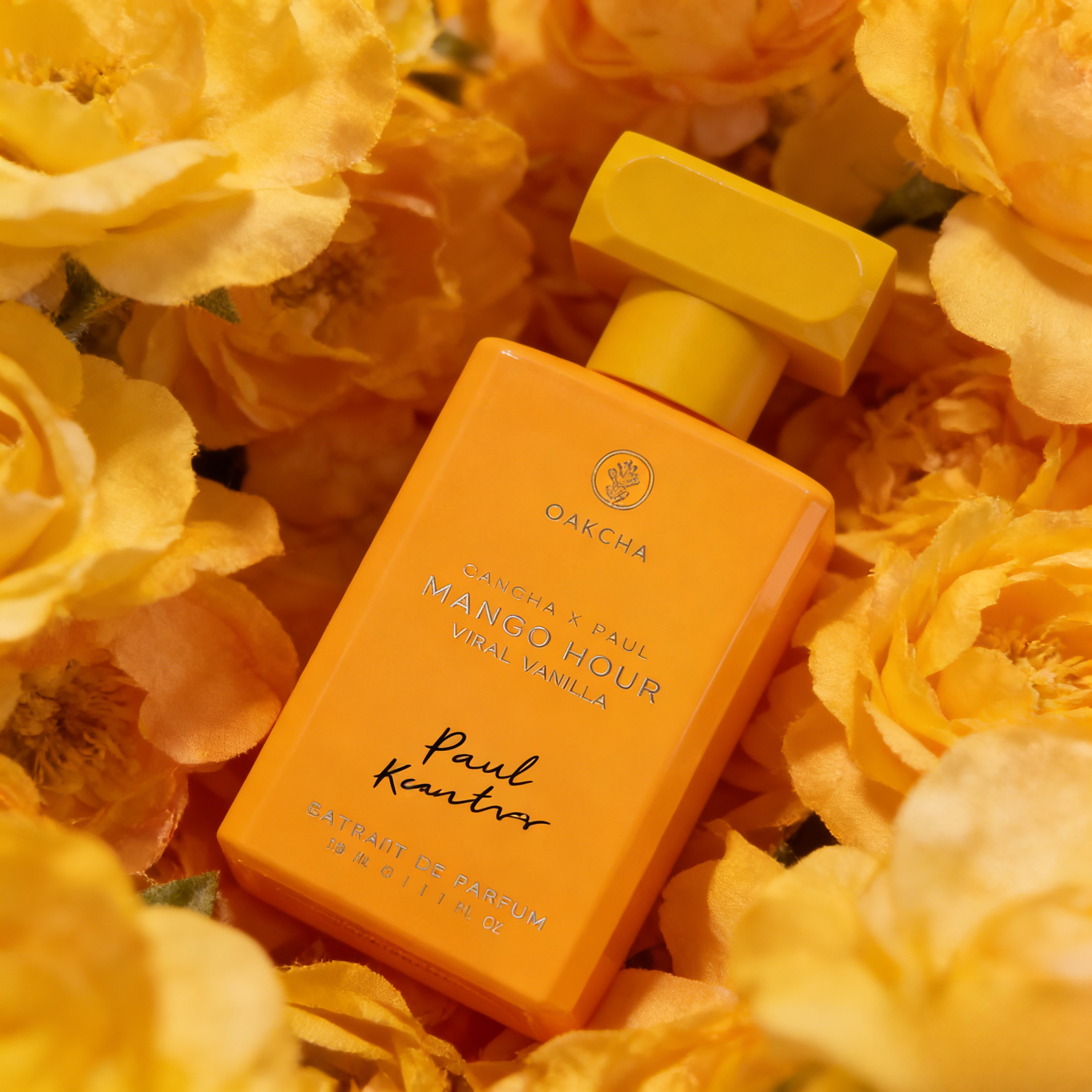 عطر OAKCHA للرجال والنساء، مان - مراجعة You Perfume Fragrance وسعره